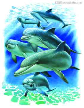 海豚ai绘画文案大全