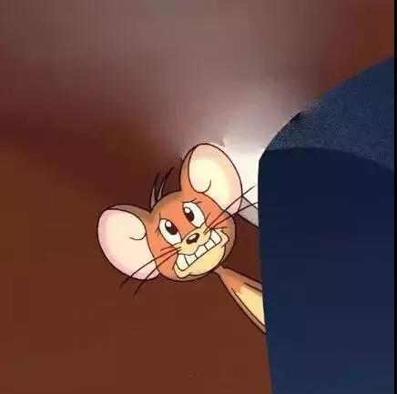ai绘画宠物猫咪文案怎么写