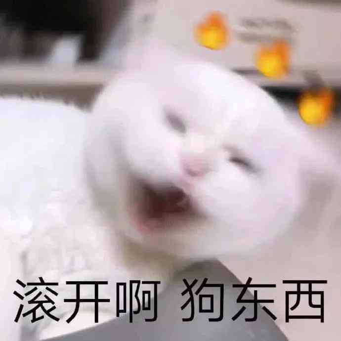 ai绘画宠物猫咪文案怎么写
