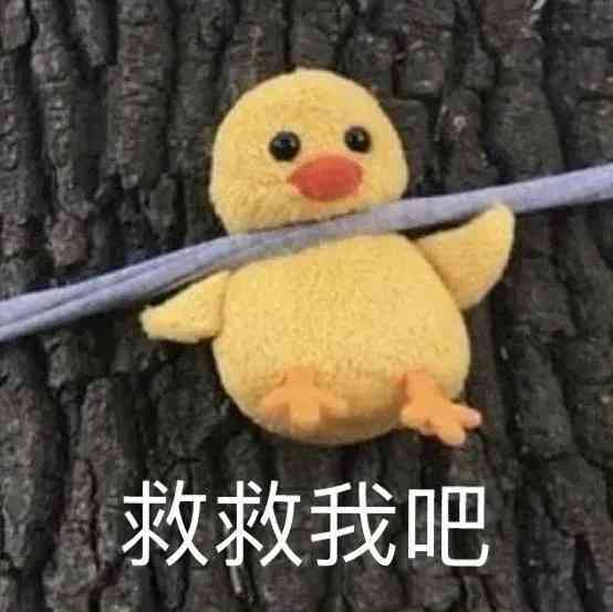 ai绘画宠物猫咪文案怎么写