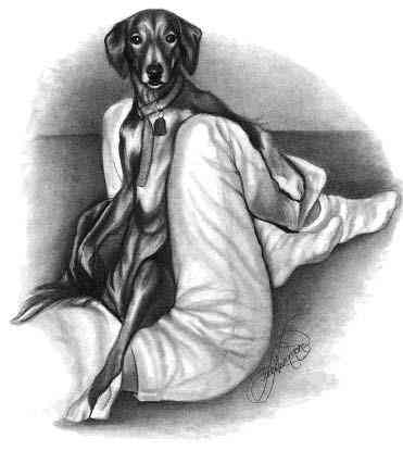 宠物ai绘画文案高级感