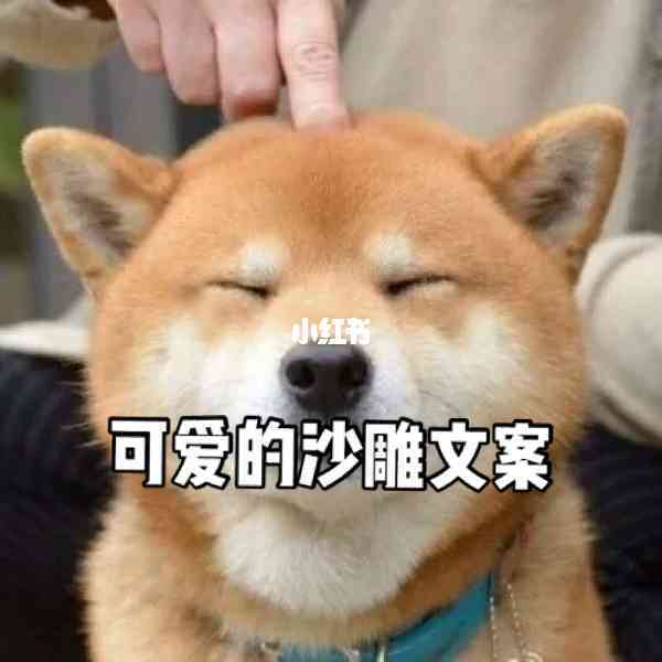 ai写沙雕修仙文案