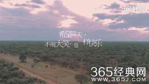 ai云雾和花文案柔