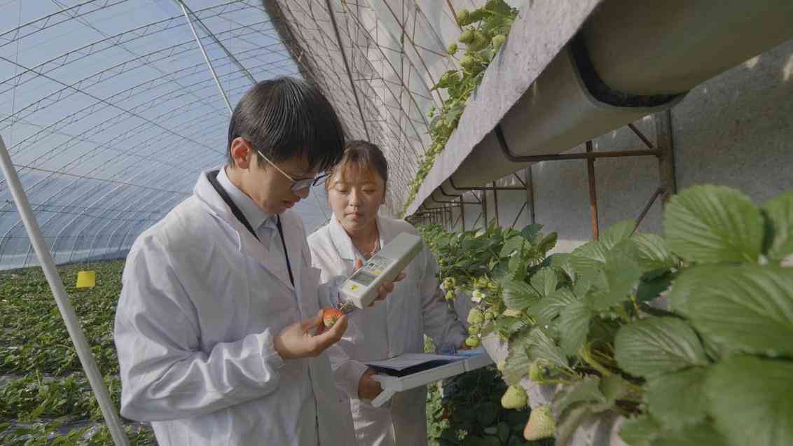 荣耀90的ai创作消除在哪里