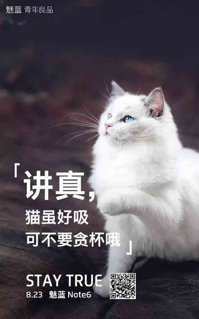 ai猫穿搭文案