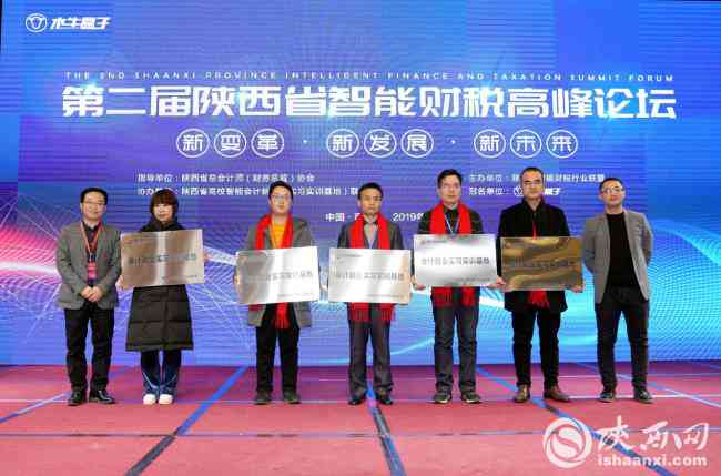 实训报告模板ai
