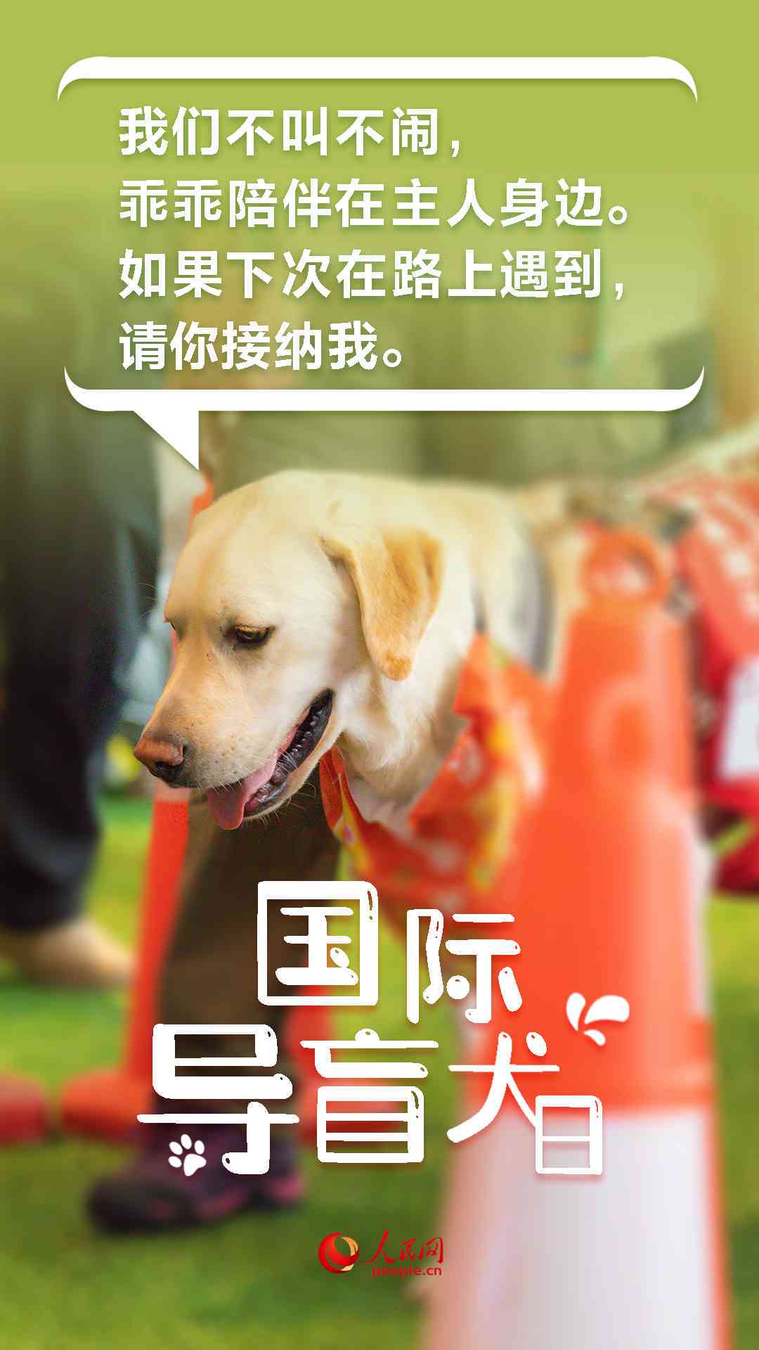 ai骑狗配什么文案