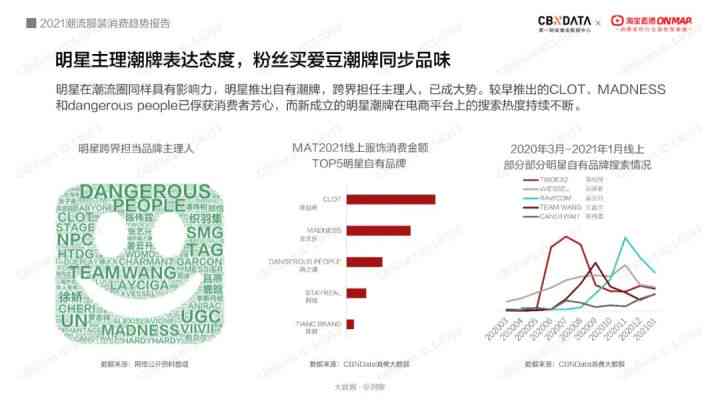 ai服装调研总结报告范文