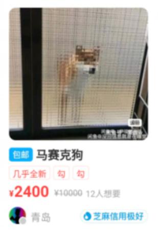 怎样用Ai做语音修车文案