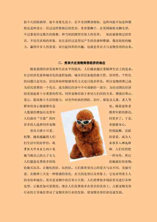 业论文宠物美容ai写作