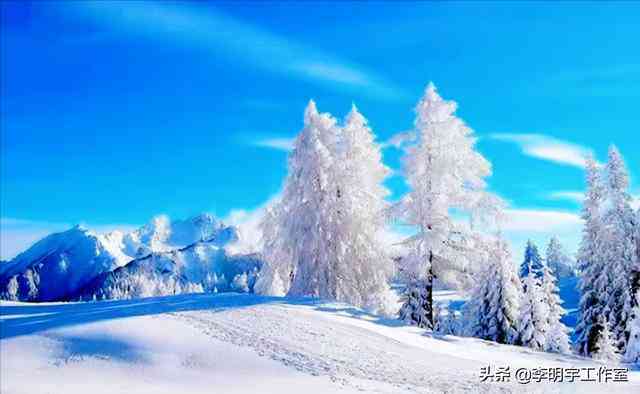 雪地玫瑰ai创作