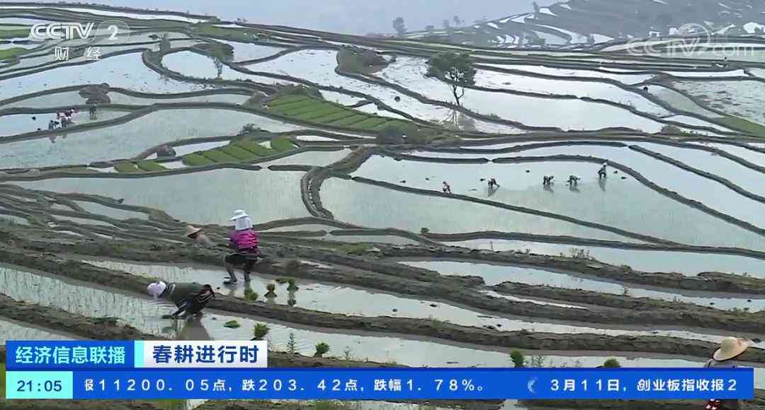ai变量导入脚本怎么导入
