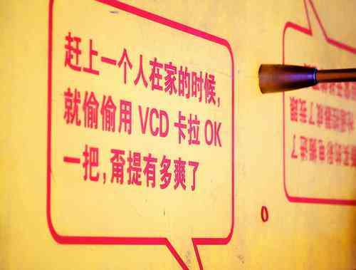 ai海鸥文案素材无水印