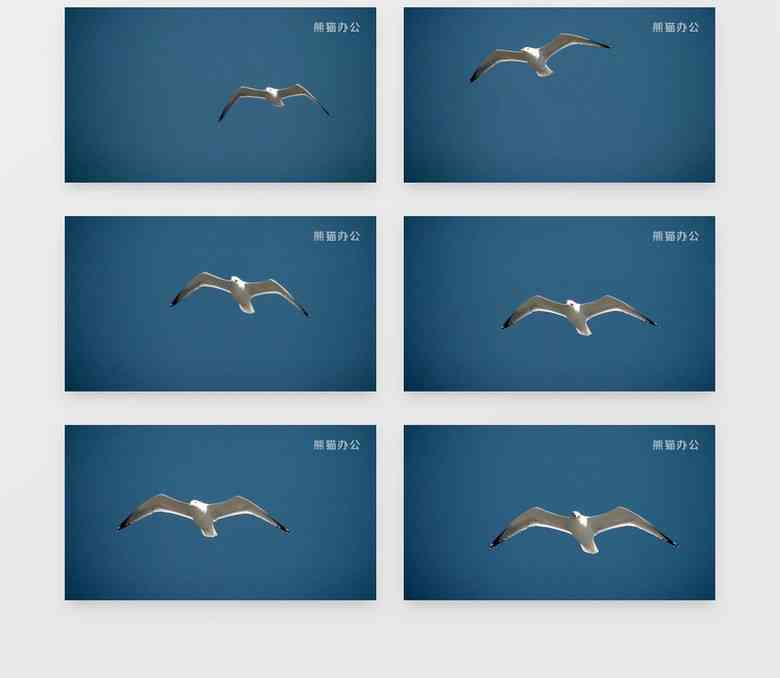 ai海鸥文案素材无水印
