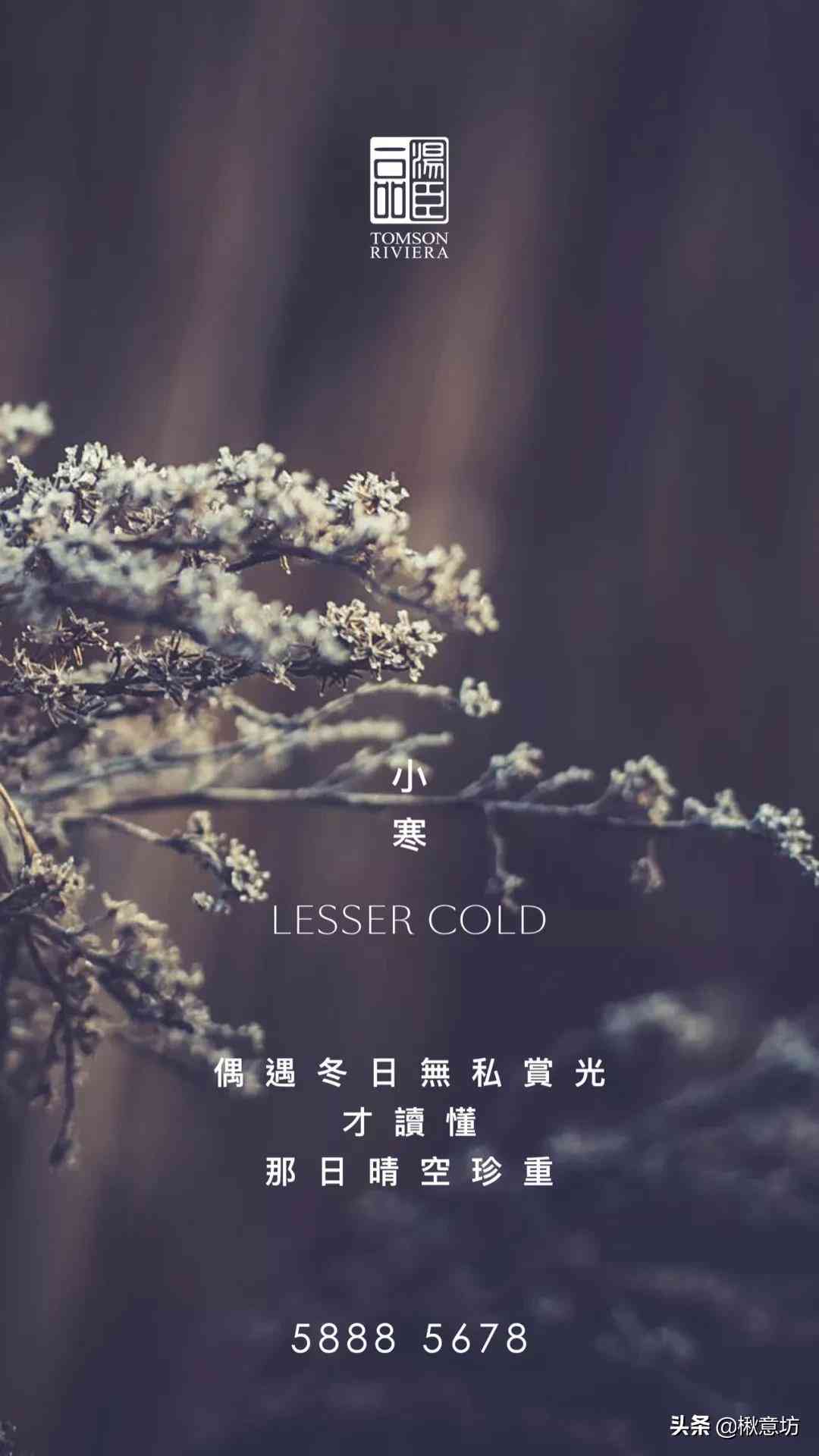 偶遇文案ai