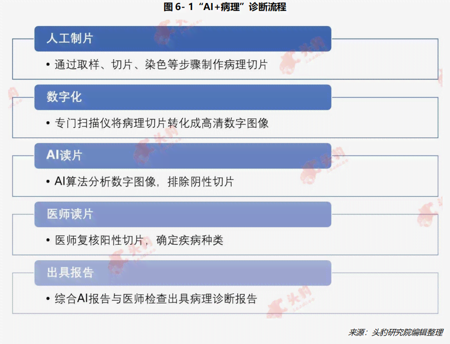 AI偏向科普性报告