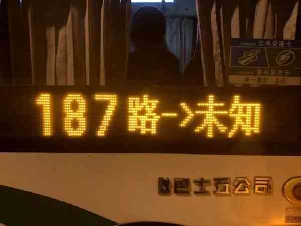 拍ai特效同款搞笑文案