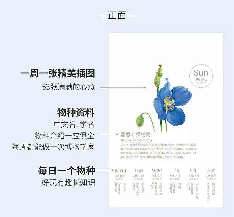 ai科普文案模板怎么做