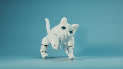 ai创作动画猫