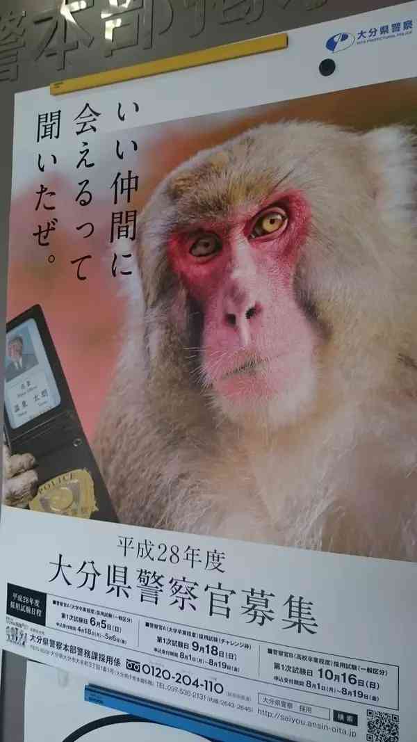 ai猴子跳舞文案