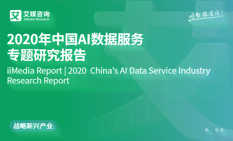 中国ai数据服务报告