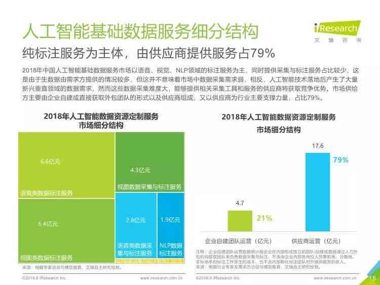 中国ai数据服务报告