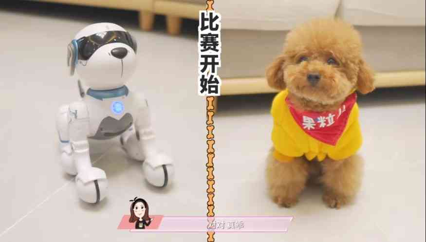 ai狗狗变人文案