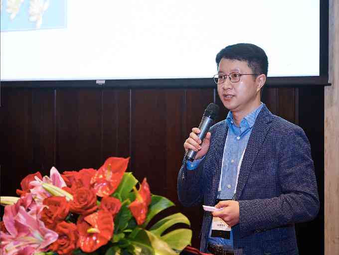 无界ai公司属性分析报告