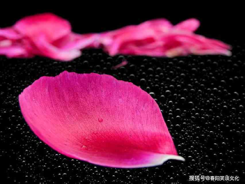 ai绿色头发文案朋友圈