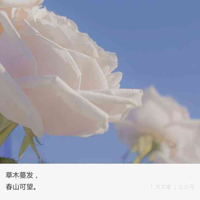 春天ai特效文案