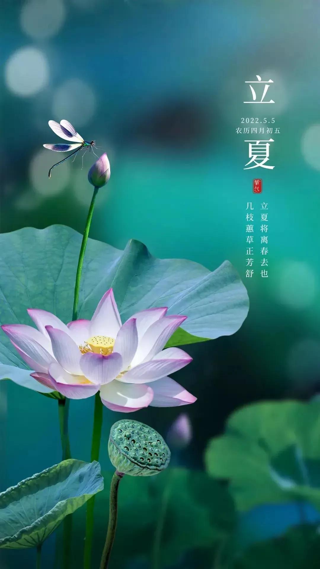 ai海报节气文案