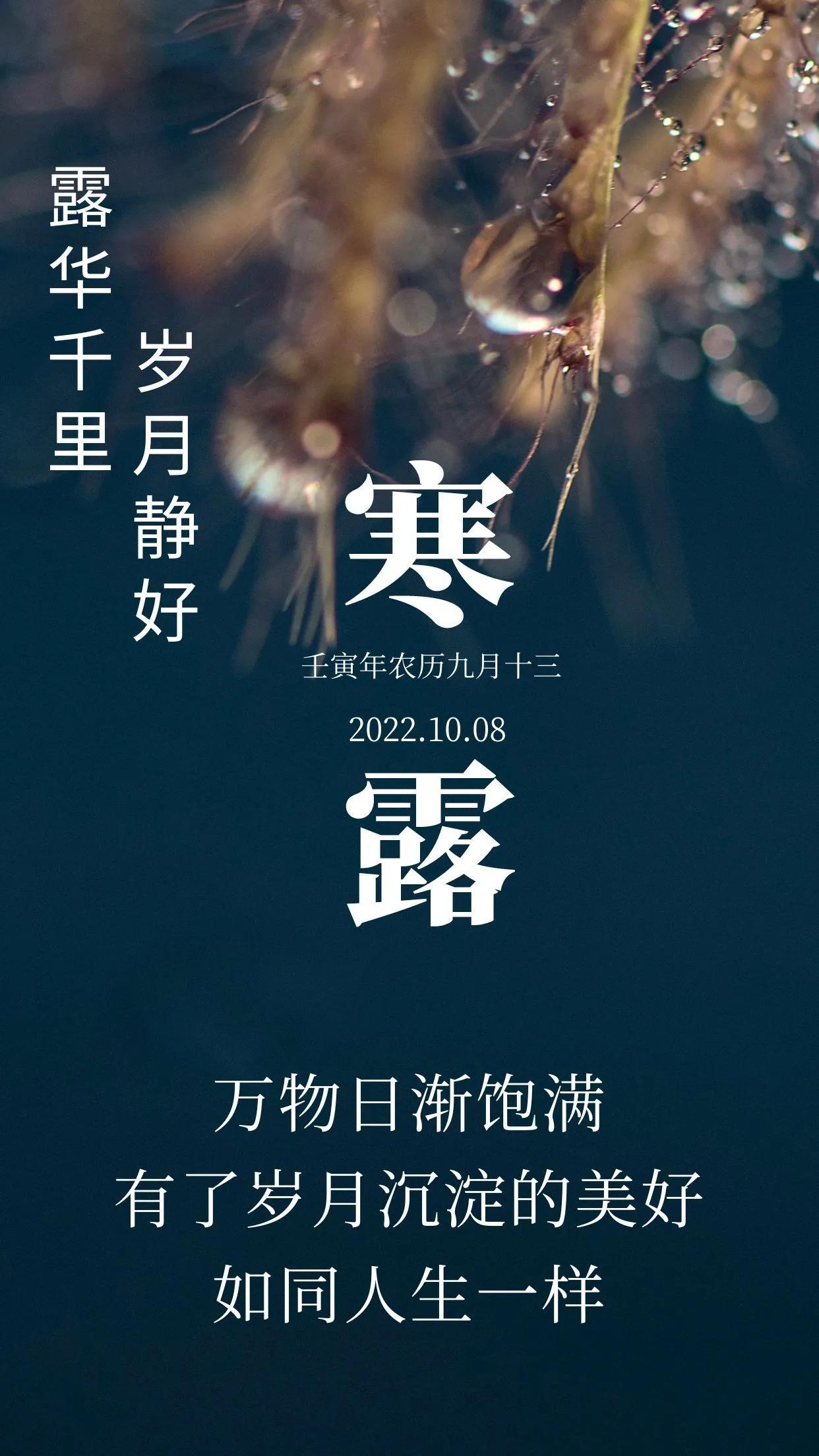 ai海报节气文案