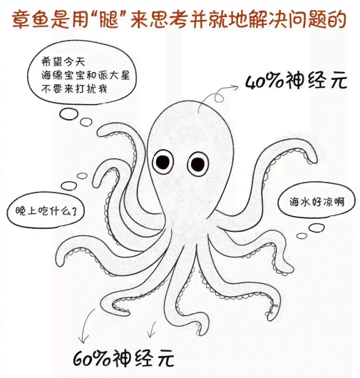 章鱼ai自由创作