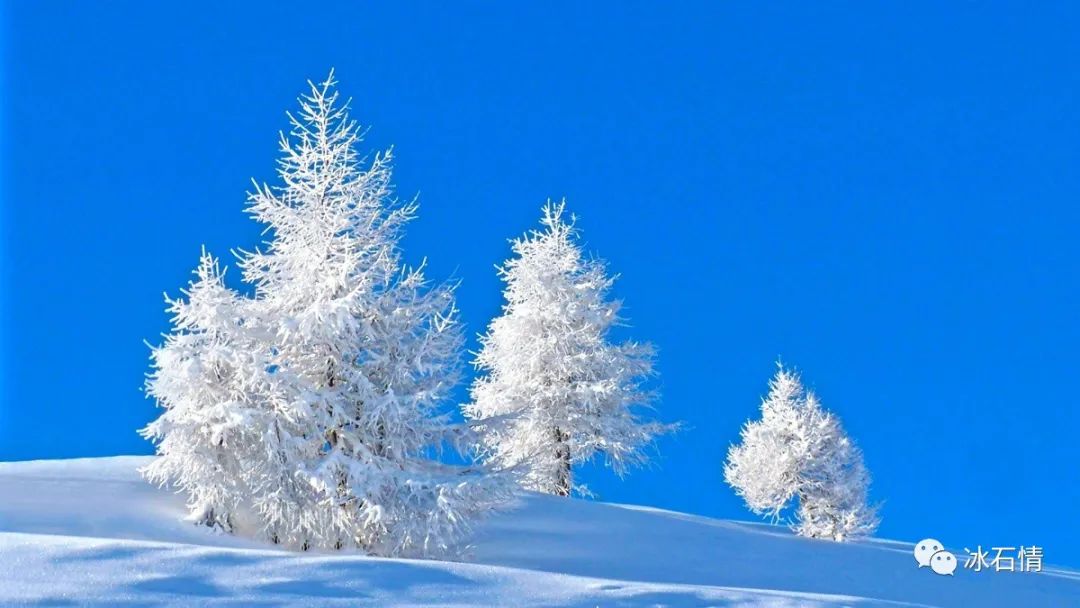 ai雪景壁纸文案