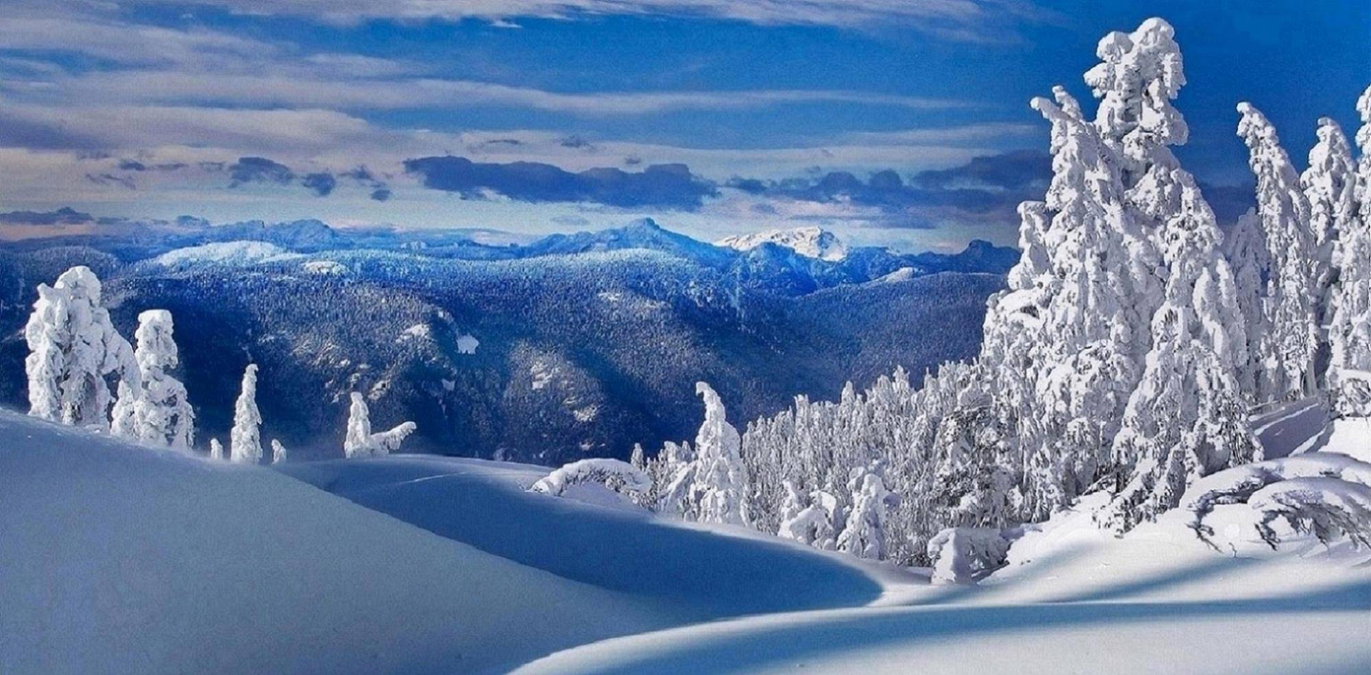 ai雪景壁纸文案