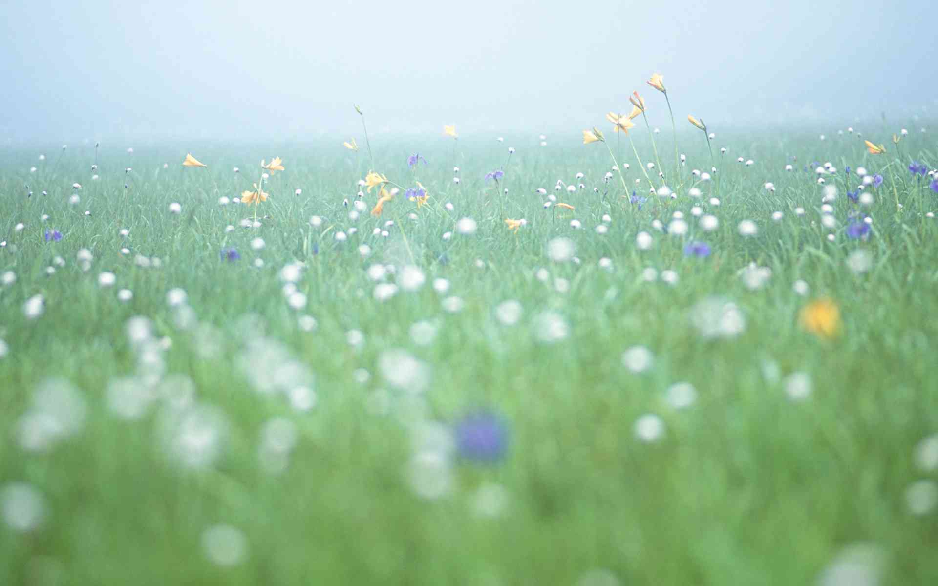 ai爱心云花拍照文案怎么写