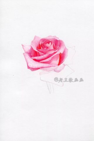 ai绘画玫瑰文案高级