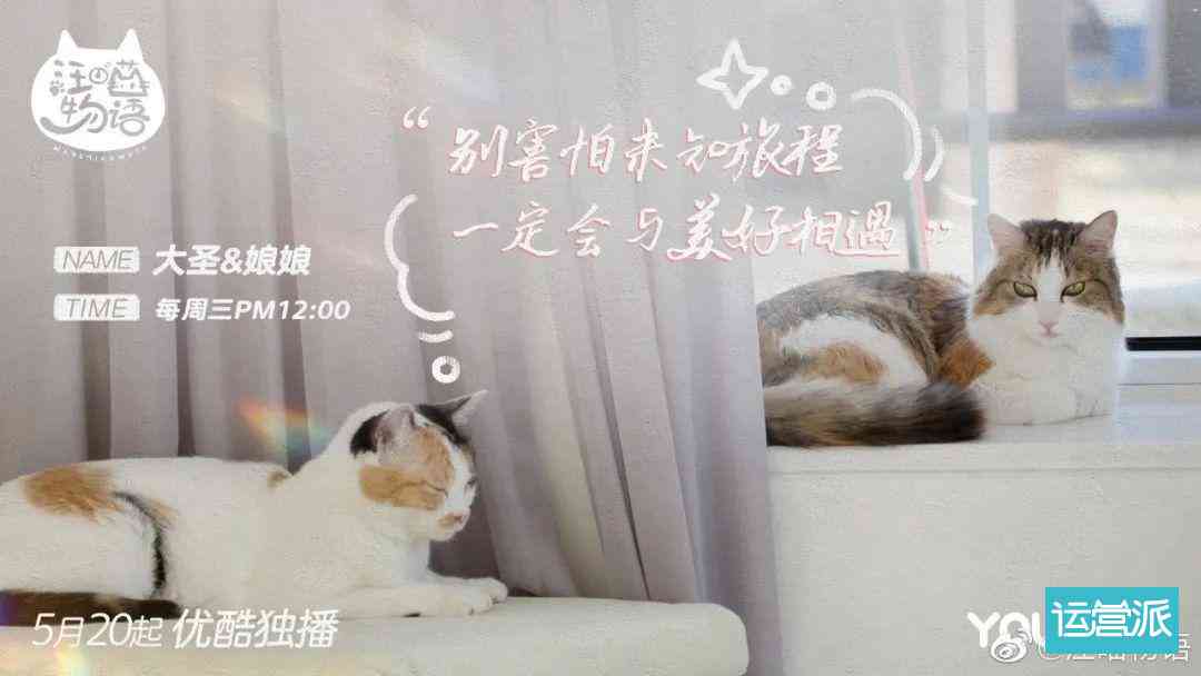 宠物配音ai文案