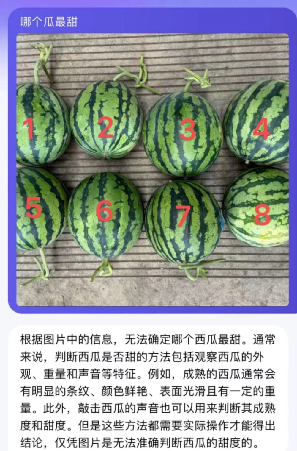 西瓜ai写作是免费的吗