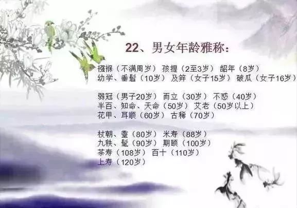 笔灵AI写作与文言一心