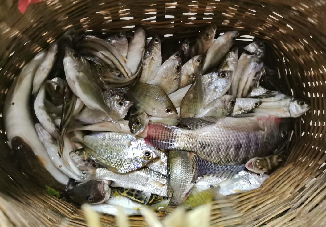 火龙果智能写作怎么降ai检测
