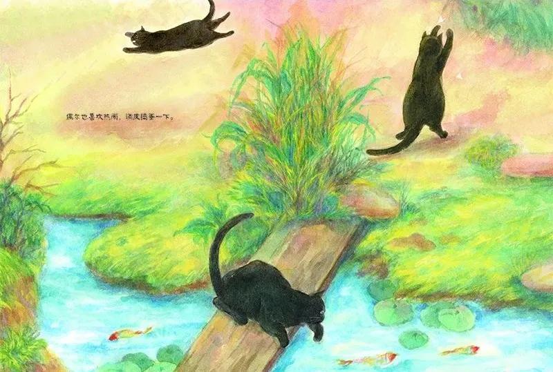创作猫ai识别识别不出来