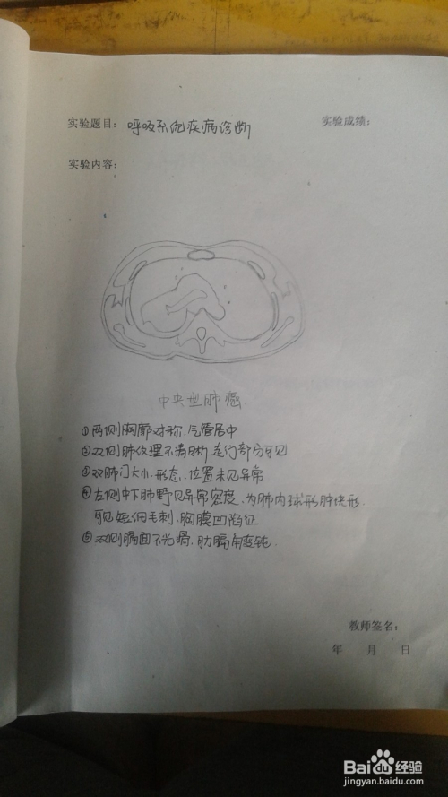 实验报告总结怎么写ai