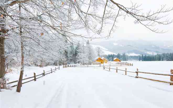 无界ai怎么创作雪景模型