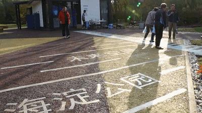 ai公园设计分析报告