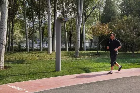 ai公园设计分析报告