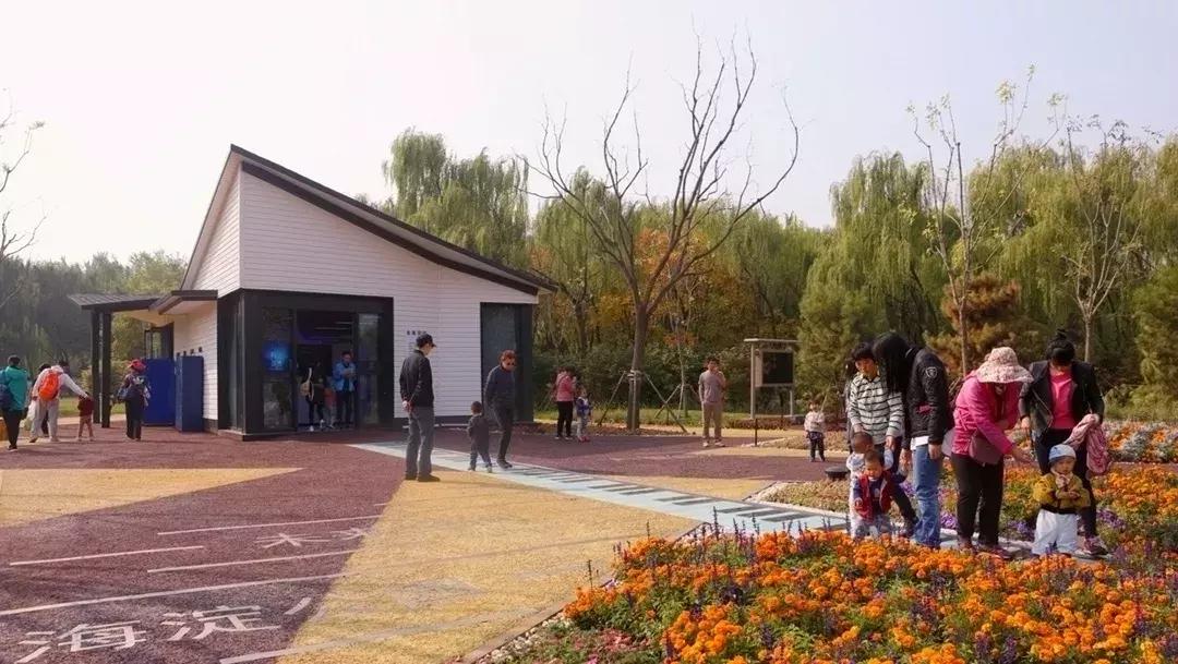 ai公园设计分析报告