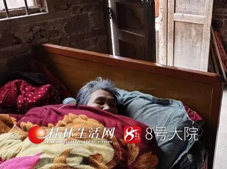 枣农民工工伤认定书