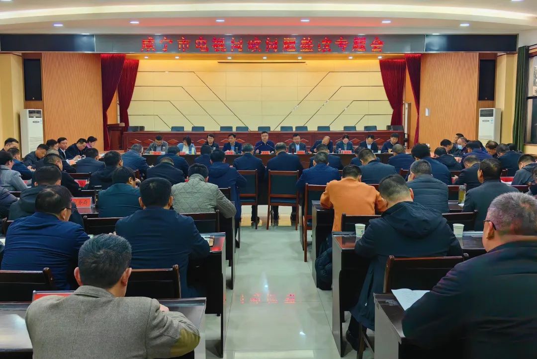 陈洪豪主持召开咸宁市电视问政问题整改专题会议