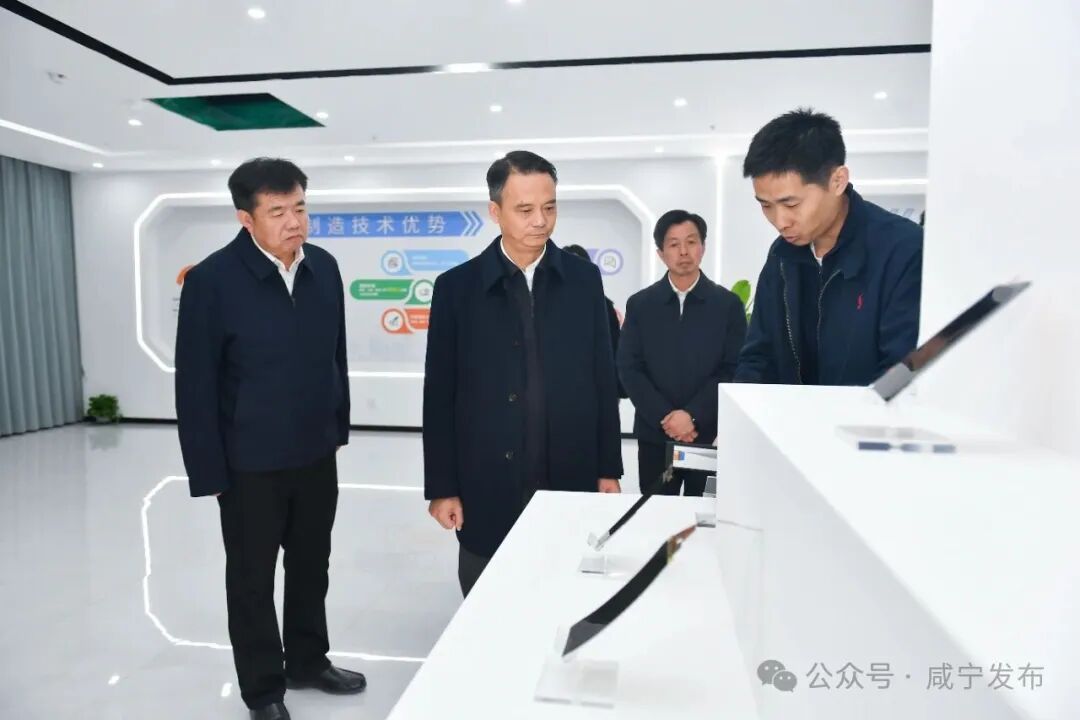 周锋到通山调研重点项目建设和巩固拓展脱贫攻坚成果工作
